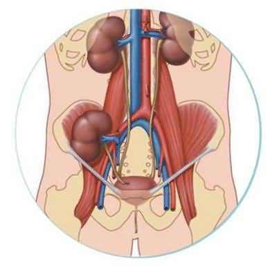 Contraindications to Kidney Transplantation